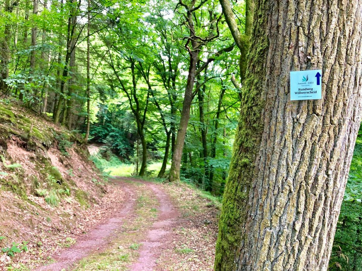Auszeit-Eifel Eifelhaus "Burgass 1807" Sauna & Badezuber Willwerscheid Luaran gambar